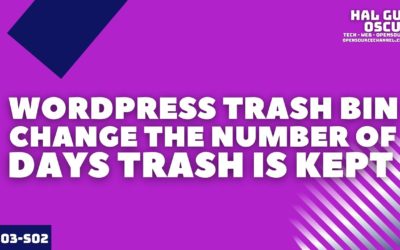 WordPress Trash Bin | Change The Number Of Days Trash Is Kept for Pages and Posts