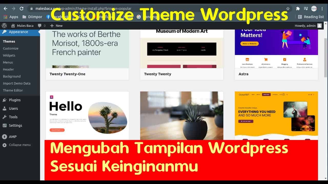 Cara Customize Theme Wordpress / Menyesuaikan Tampilan WP Sesuai Yang Kamu Inginkan