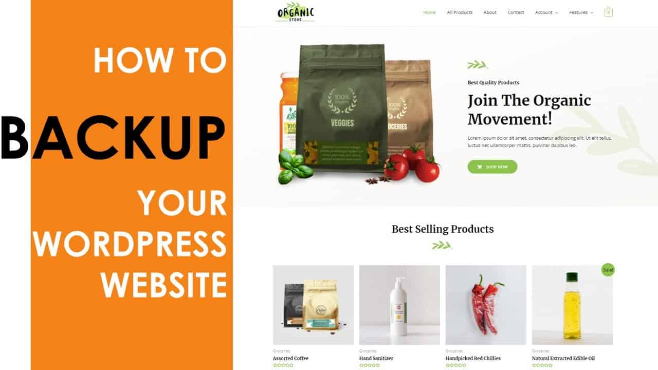 How To Backup Your Wordpress Website In 5 Mins Dieno Digital How To Backup Your Wordpress Website In 5 Mins Dieno Digital