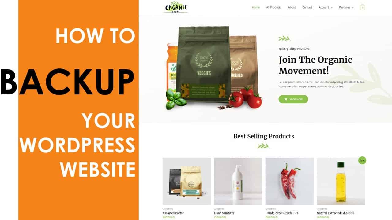How to Backup Your WordPress Website in 5 Mins
