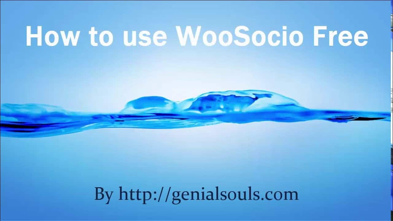 How to use WooSocio free plugin