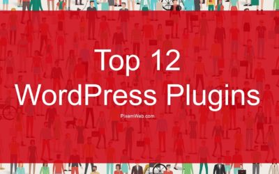 Top 12 WordPress Plugins