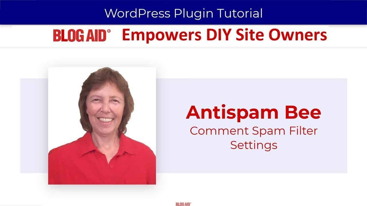 Antispam Bee Settings for Comment Spam Protection