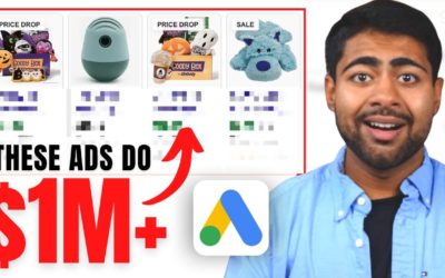 Digital Advertising Tutorials – These Google Shopping & Search Ads Do Over $993k Per Month