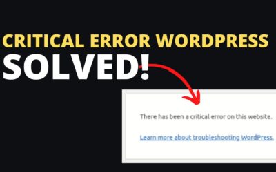 Solved “There has been a critical error on this website.” in WordPress using hosting cPanel or FTP