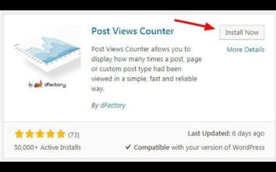 WordPress Plugin Post View Count | Track Your Visitors With Plugin