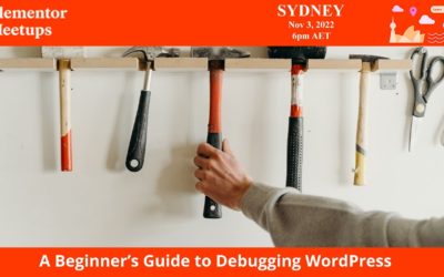 A Beginners Guide To Debugging WordPress – Elementor Sydney
