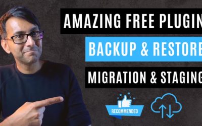 Amazing FREE Backup and Restore Plugin – Migration and Staging – WPVivid