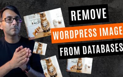 Code Snippet to Stop WordPress Creating Duplicate and Unused Images in your Database
