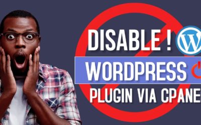 How to DISABLE/UN-INSTALL WordPress Plugin from CPANEL