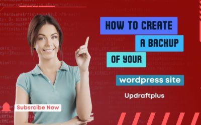 How to backup your wordpress website including Themes and plugins