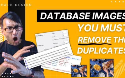 MUST WATCH – Remove Duplicate Images from WordPress Database – Media Library Settings