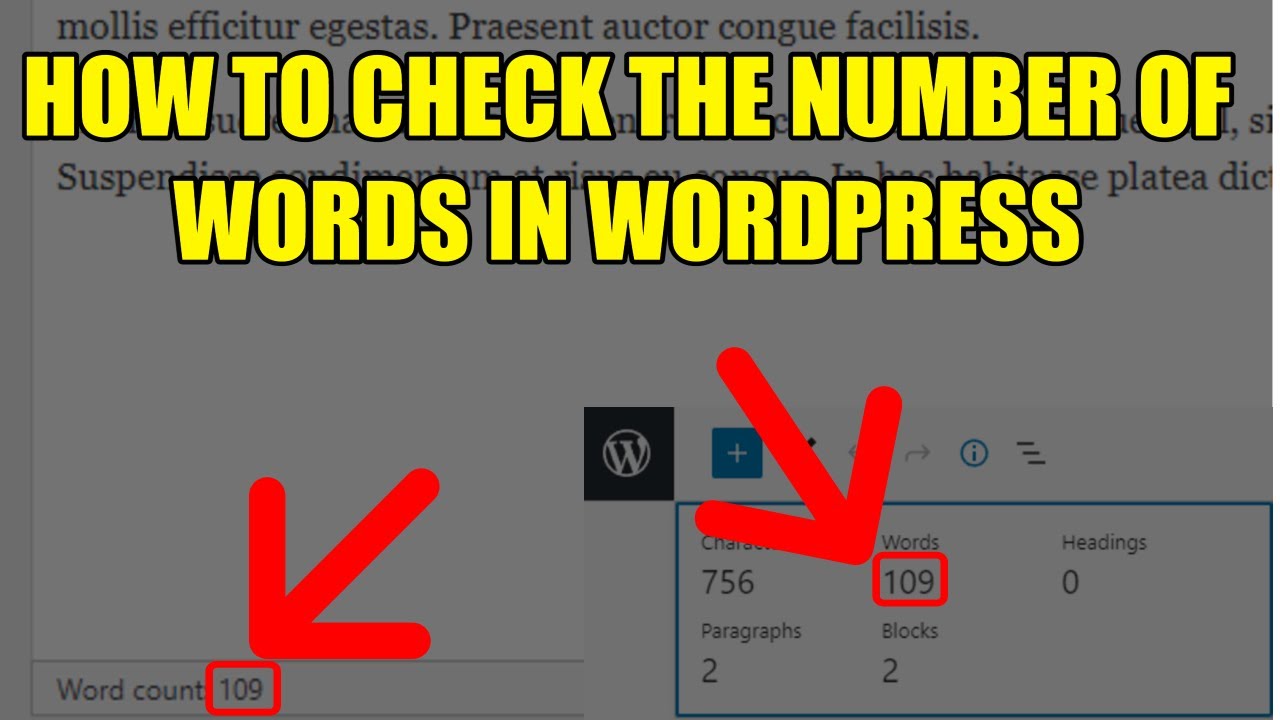 HOW TO CHECK THE NUMBER OF WORDS IN WORDPRESS