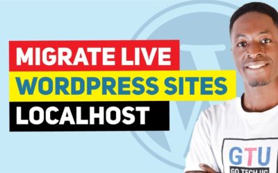 How To Easily Migrate Live WordPress Sites To Localhost (WPvivid Backup Plugin)