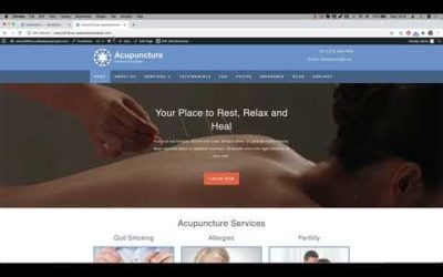 Make an Acupuncture Website | WordPress | OceanWP theme | Elementor Pro plugin | 2020