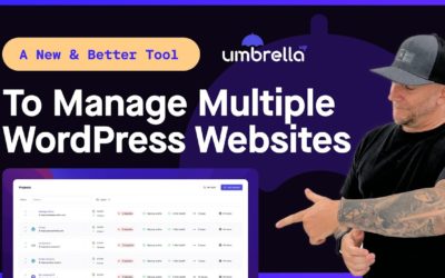 WP Umbrella – A New Way For WordPress Management & Maintenance